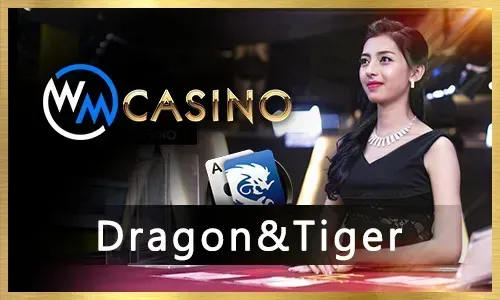 Live dealer casino game with real dealers